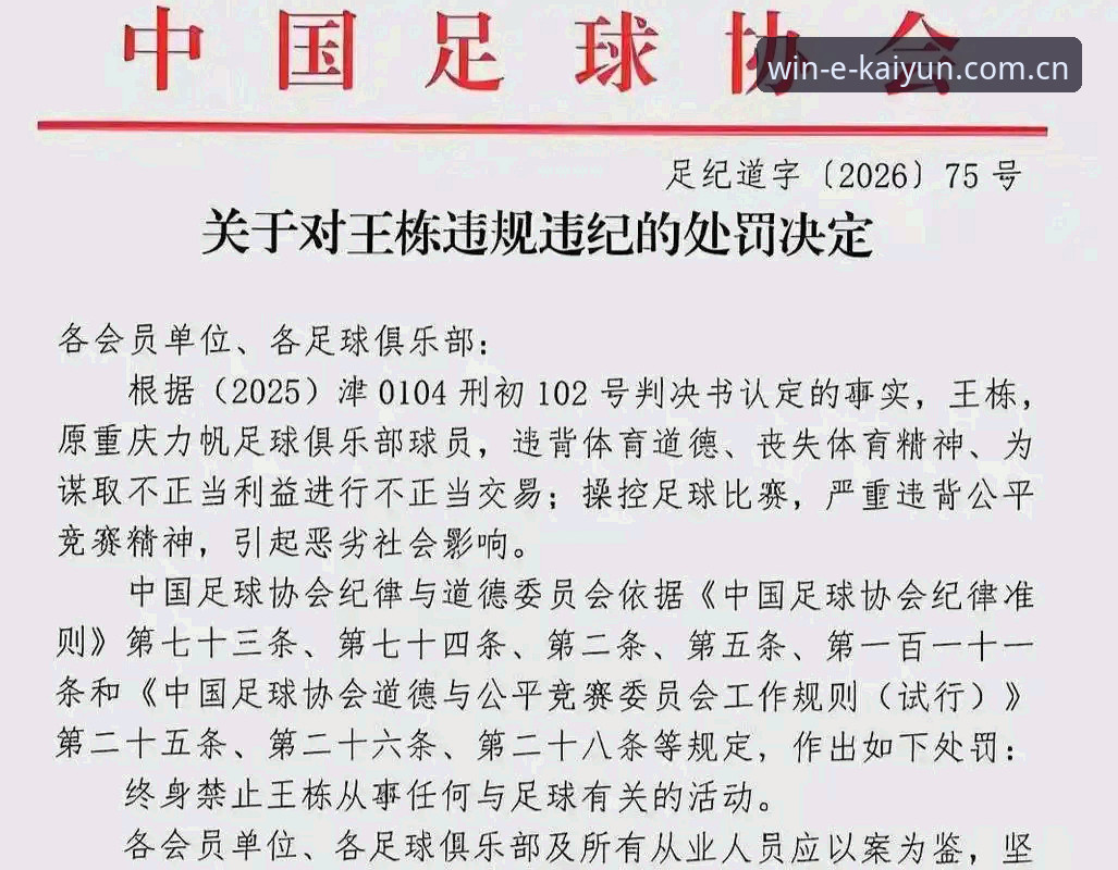资深用户分享足协第三批禁足名单全解读，kaiyun体育平台热点追踪心得