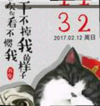 刘洋